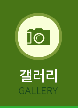 갤러리